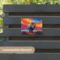 Neushoorn - Zonsondergang - Savanna - Kleurrijk tuinposter los doek klein -sfeer3