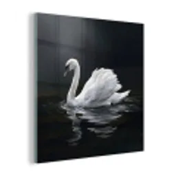 Zwaan - Water - Natuur - Realistisch - Wit plexiglas 5mm klein -z3d