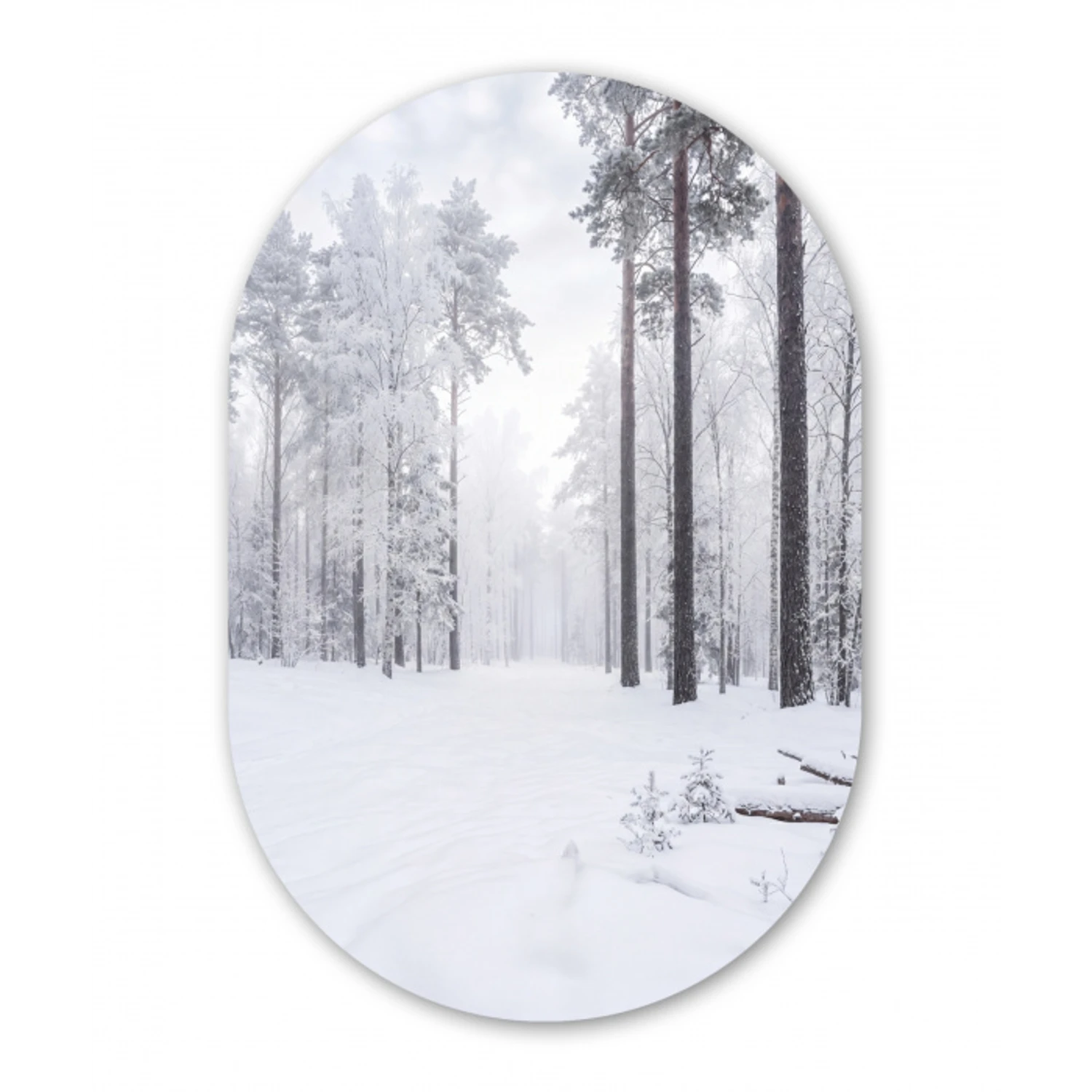 Bos - Sneeuw - Pad - Winter - Stilte Wandcirkel Ovaal Aluminium middel -3d