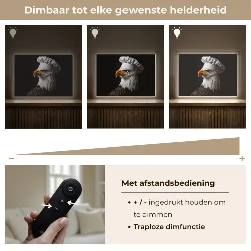 Arend -Amerika - Koksmuts - Vogel - Stoer Light Box met batterij (Wandlamp) middel -USP_dimbaarNL