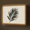 Palmblad - Subtiel - Groen - beige Light Box met batterij (Wandlamp) middel -z3d_website