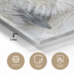 Sneeuwuil - Oog - Wildlife - Wit plexiglas 5mm klein -sfeer2