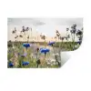 Bloemen - Zomer - Korenbloem - Blauw - Zon - Wolken Muursticker klein -3d
