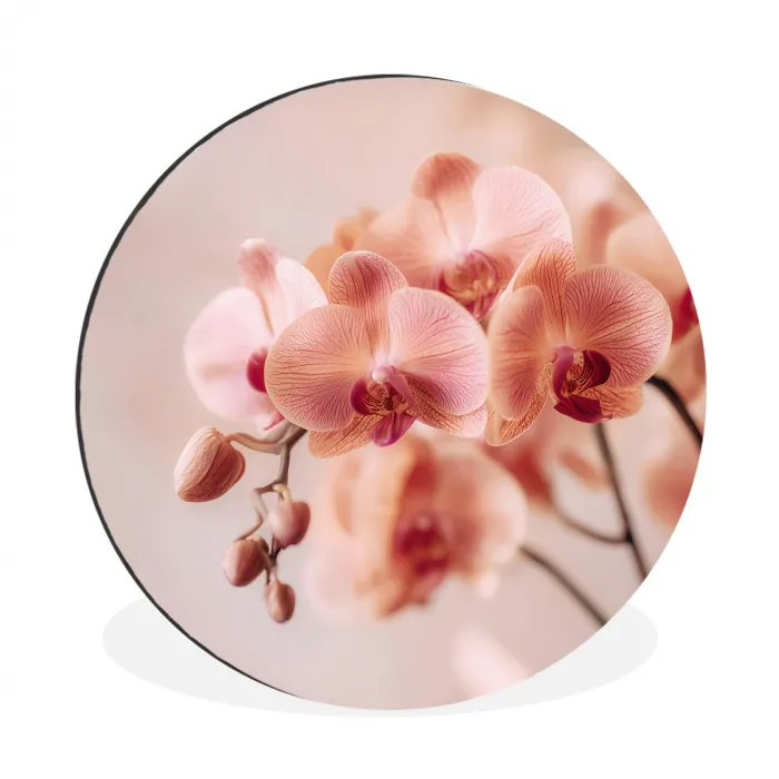 Orchidee - Bloemen - Roze - Bloemblaadjes Wandcirkel aluminium klein -3d