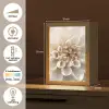 Bloemen - Wit - Natuur Light Box met kabel (Tafellamp) klein -USP_NL