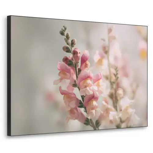 Bloem - Leeuwenbek - Roze - Stengel Textielframe zwart klein -3d