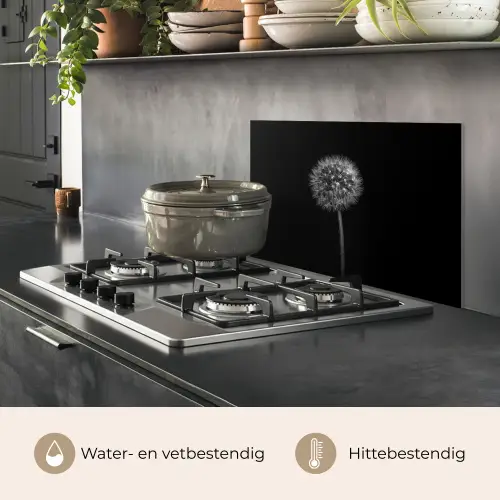 Paardenbloem - Zwart - Bloemen - Botanisch keuken achterwand spatscherm klein -usp_NL