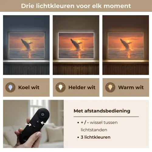 Walvis - Zon - Zee Light Box met batterij (Wandlamp) middel -USP_lichtkleurNL