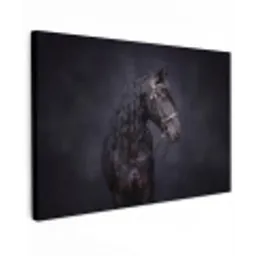 Portret - Paard - Donker Tuinposter op houten frame 2 cm dik klein -3d