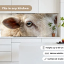 Schaap - Oog - Wit keuken achterwand 2 middel -sfeer4_UK
