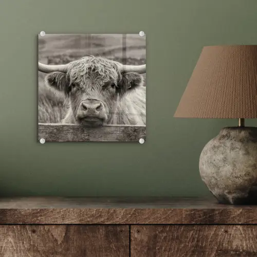 Schotse hooglander - Zwart - Wit - Hout plexiglas 5mm klein -sfeer3
