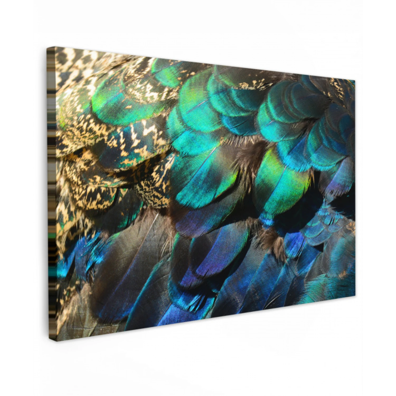 Veren - Pauwveren - Pauw - Blauw - Kunst Tuinposter op houten frame 2 cm dik klein -3d