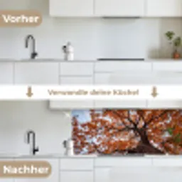 Boom - Bladerdak - Herfst - Oranje - Sfeervol keuken achterwand 2 middel -voor-na_DE