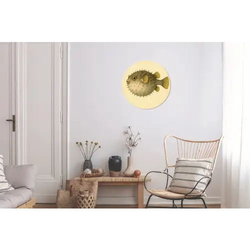 Stekels - Vis - Opgeblazen - Bruin Wandcirkel aluminium klein -woonkamer