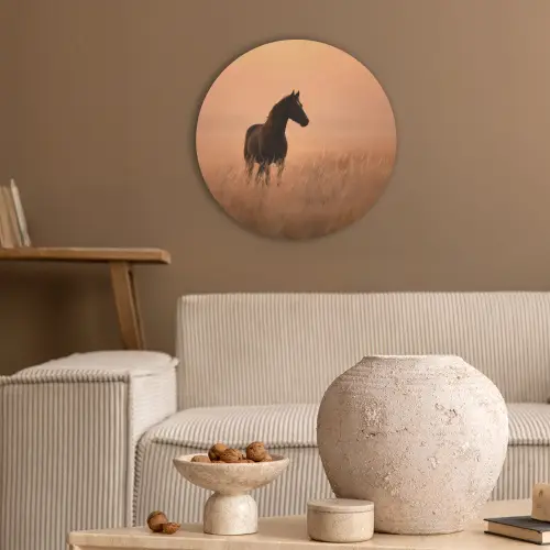 Paard - Grasveld - Zonsondergang Akoestische PET Vilt - Rond klein -sfeer1
