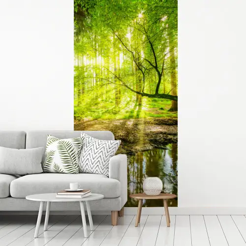 Bos - Landschap - Water - Bomen - Zon fotobehang vinyl groot -woonkamer