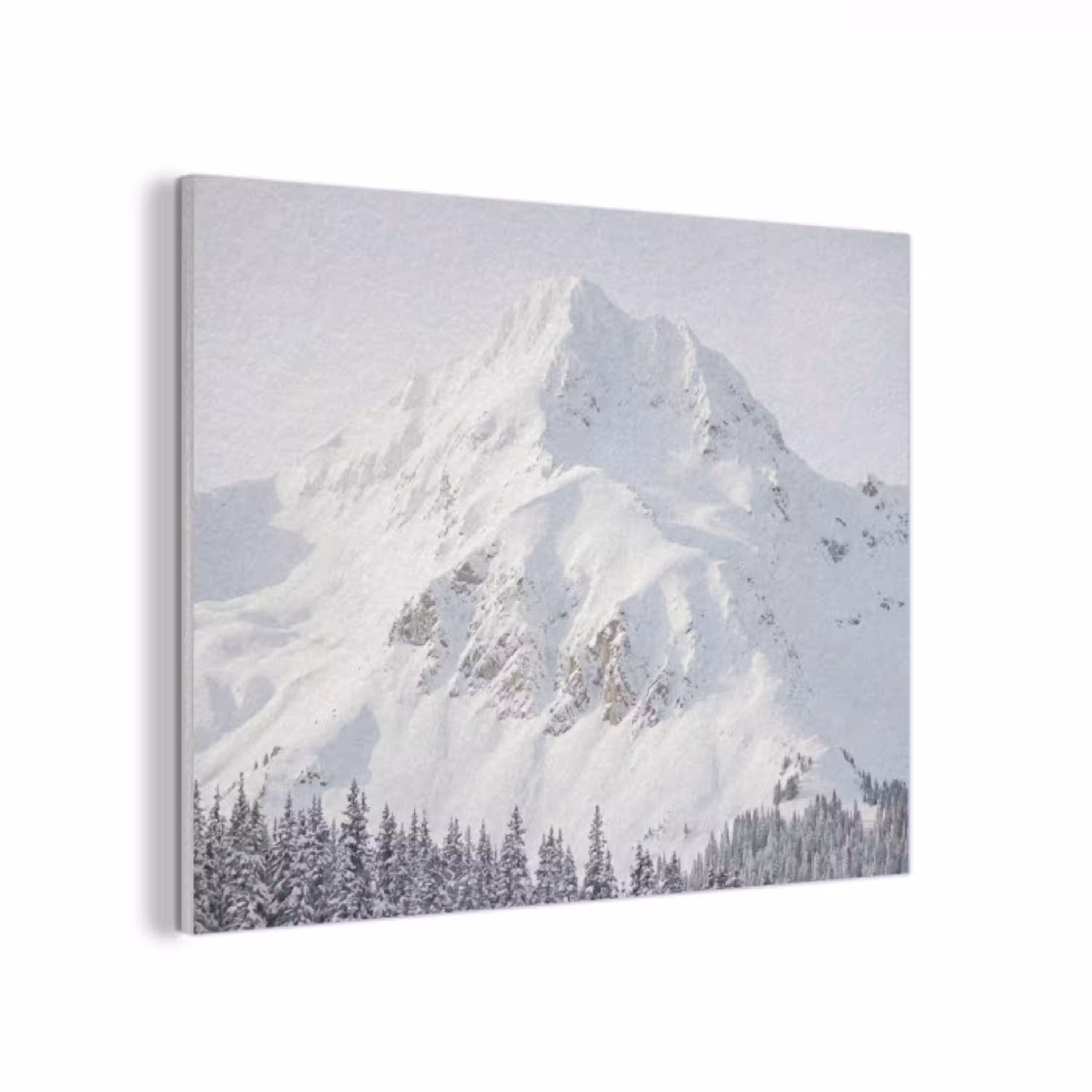 Berg - Sneeuw - Winter - Natuur - Wit PET vilt klein -3d