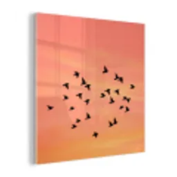 Zwerm - Vogels - Oranje plexiglas 5mm klein -z3d