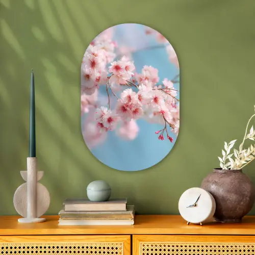 Takken - Bloesems - Roze Wandcirkel Ovaal Forex klein -sfeer2