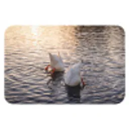 Eenden - Water - Natuur Badmat klein -3d