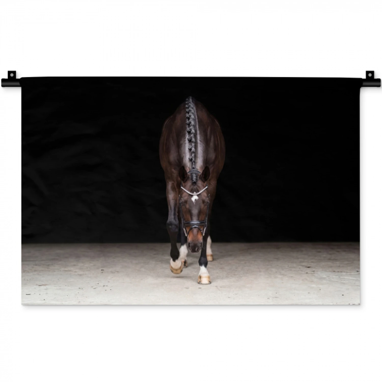 Paard - Modern - Portret Wandkleed katoen klein -zz3d