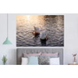 Eenden - Water - Natuur forex 5mm xxl -slaapkamer