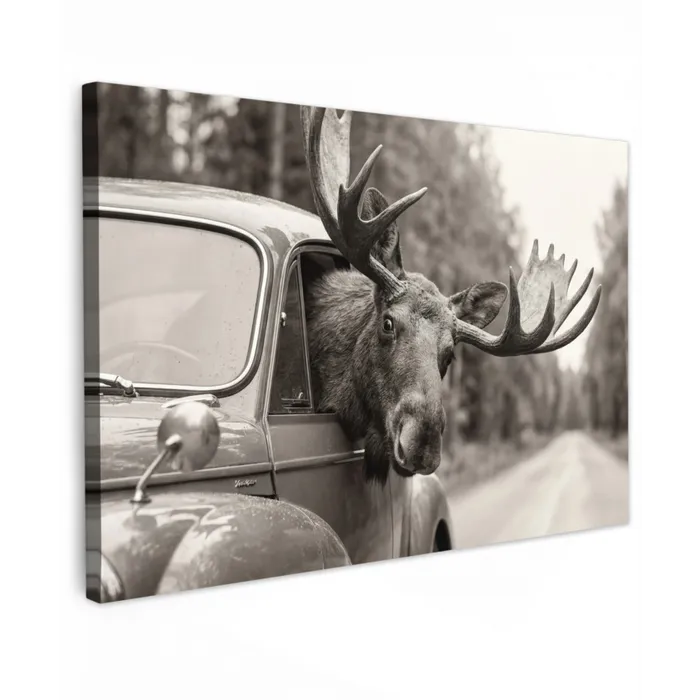 Eland - Auto - Gewei - Zwart - Wit Tuinposter op houten frame 2 cm dik klein -3d