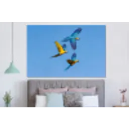 Papagaai - Vliegen - Blauw - Geel forex 5mm xxl -slaapkamer