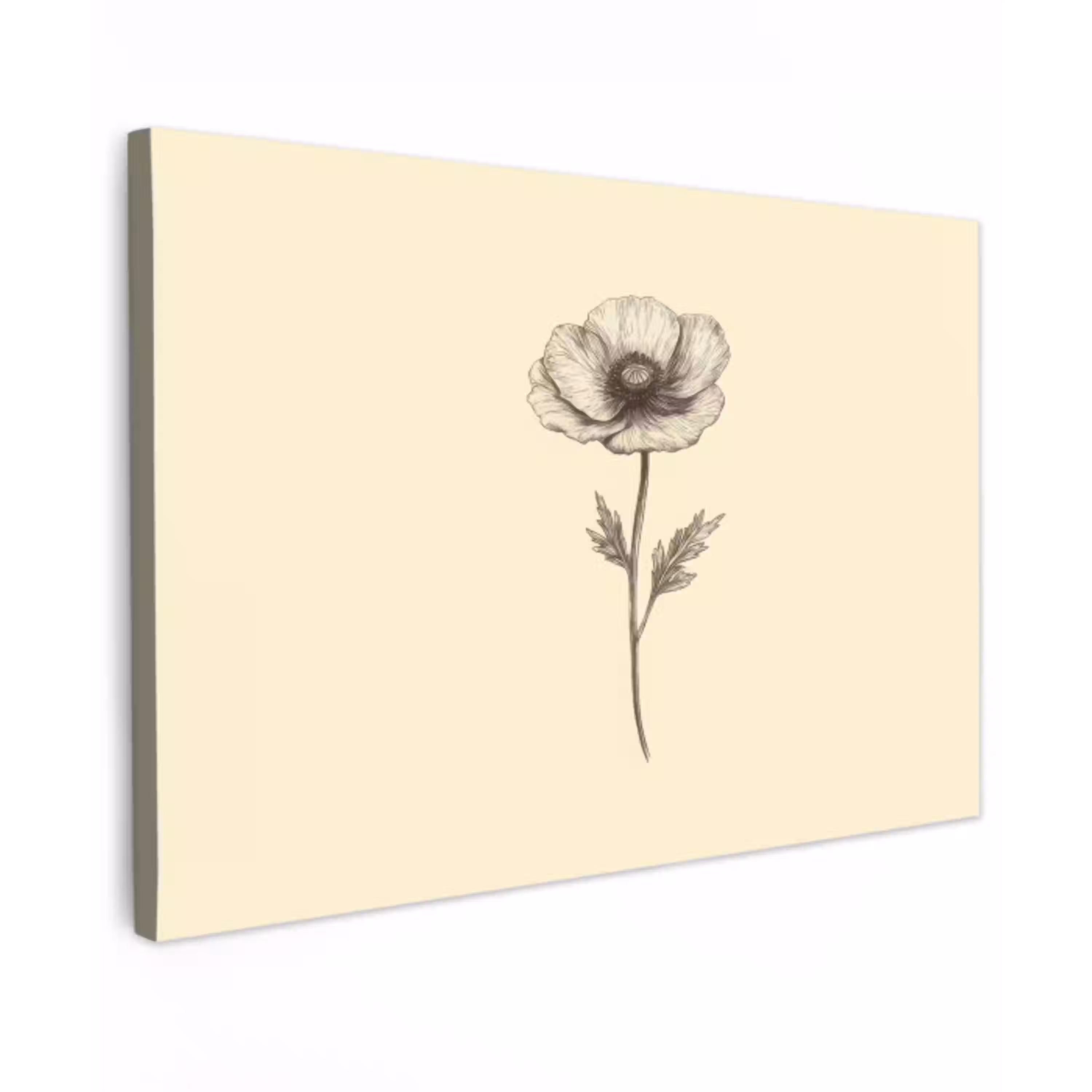 Klaproos - Illustratie - Zwart Tuinposter op houten frame 2 cm dik klein -3d