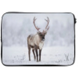 Rendier - Gewei - Toendra - Sneeuw - Wild laptophoes neopreen klein -zkaufland3dotto