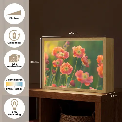 Bloemenveld - Zonnestralen - Oranje Light Box met batterij (Wandlamp) middel -USP_websiteoverzichtNL