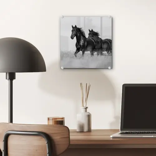 Paarden - Gras - Zwart - Wit plexiglas 5mm klein -sfeer6