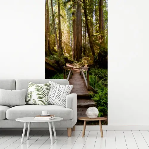 Jungle - Natuur - Trap - Bomen fotobehang vinyl groot -woonkamer