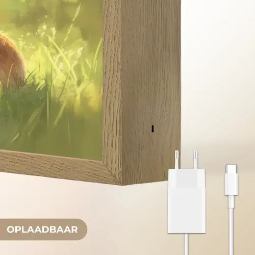 Konijn - Zonlicht - Bos Light Box met batterij (Wandlamp) middel -USP_websiteoplaadbaarNL