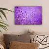 Lavendel - Close-up - Bloemen - Paars canvas 2cm klein -sfeer1
