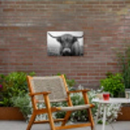Schotse hooglander - Zwart - Wit - Gras Tuinposter op houten frame 2 cm dik klein -sfeer3