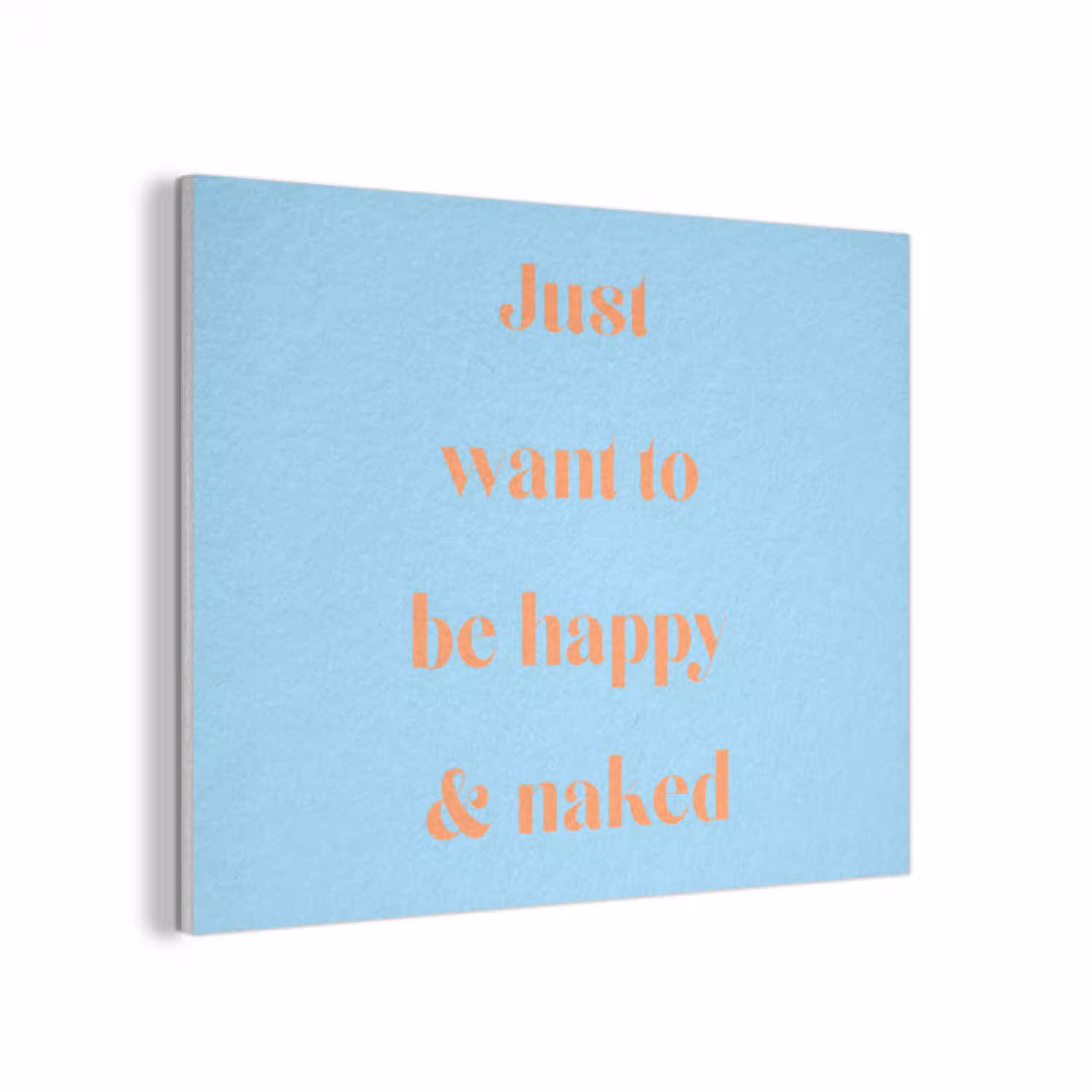 Blauw - Oranje - Just want to be happy & naked PET vilt klein -3d