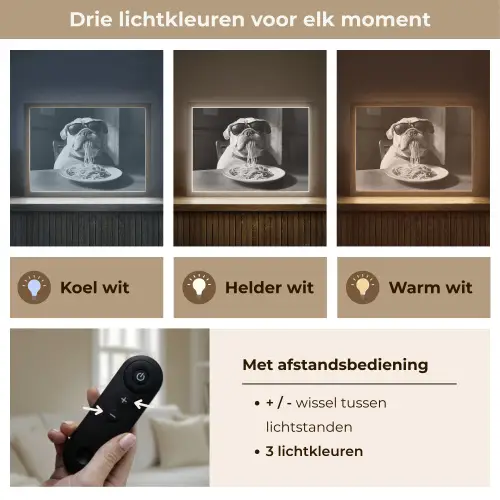 Hond - Bulldog - Pasta - Bril - Stoer - Dieren Light Box met batterij (Wandlamp) middel -USP_lichtkleurNL