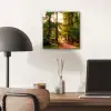 Bos - Pad - Bomen - Groen - Zon - Natuur aluminium wit klein -sfeer5