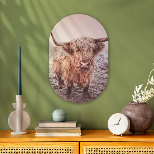 Schotse hooglanders - Licht - Lucht - Natuur Wandcirkel Ovaal Forex klein -sfeer2