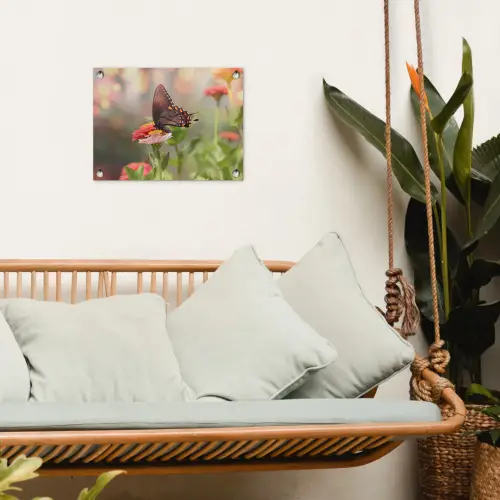 Vlinder op zomerbloem tuinposter los doek klein -sfeer7