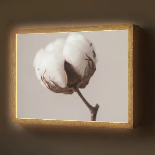 Katoenbol - Minimalistisch - Wit Light Box met batterij (Wandlamp) middel -z3d_website