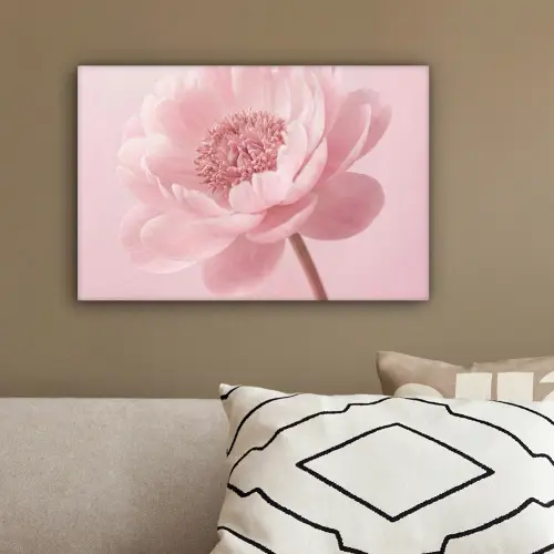 Bloem - Pioenroos - Roze canvas 2cm klein -sfeer3