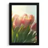 Tulpen - Roze - Zonnestralen fotolijst zwart zonder passe partout klein -3d