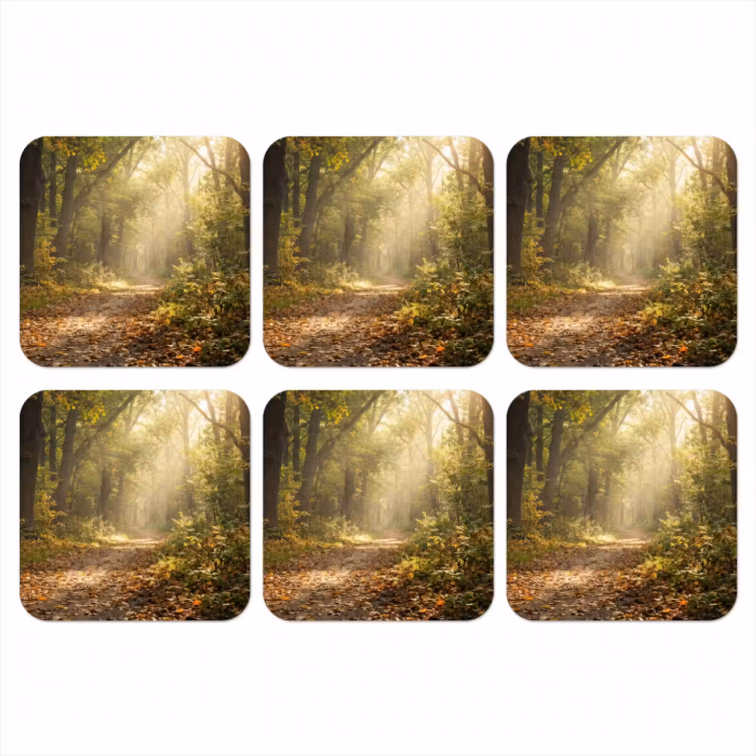 Untersetzer​ - Sonnenlicht - Waldweg - Bäume