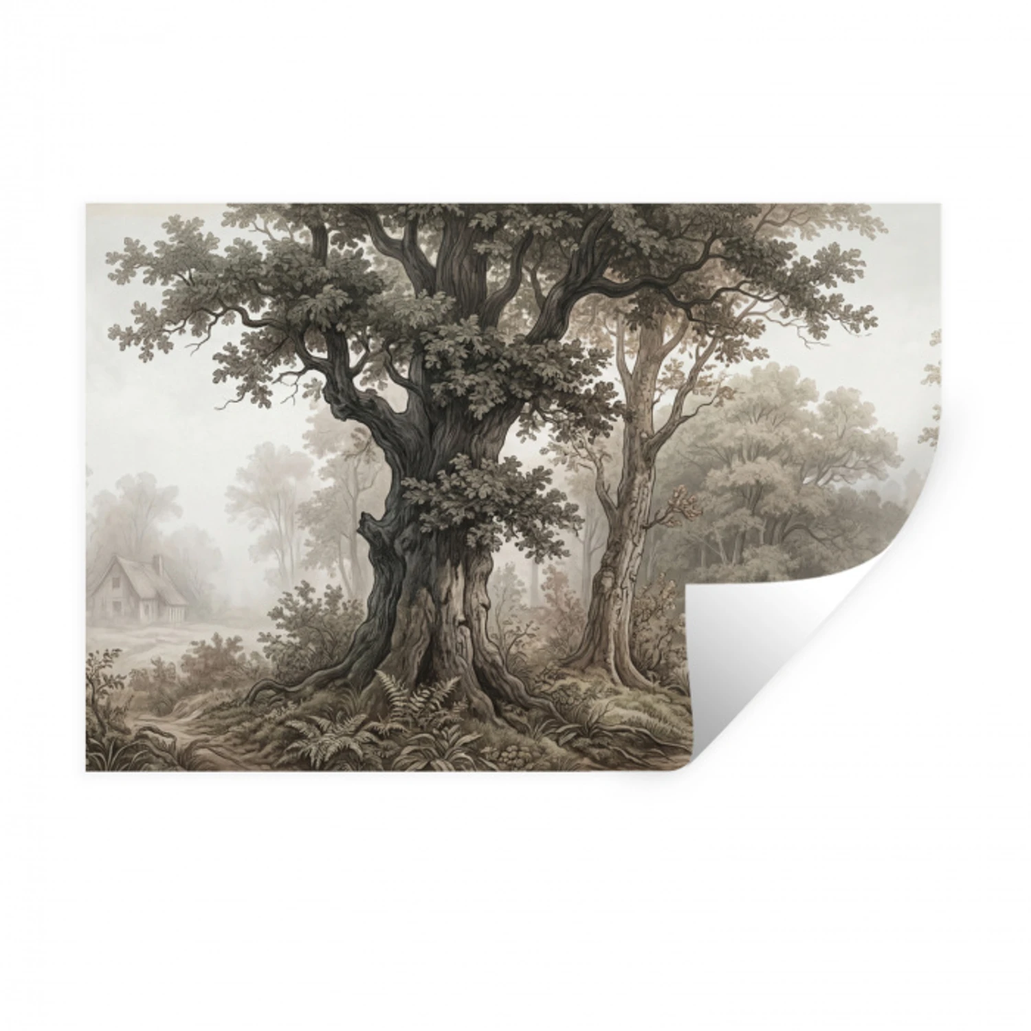 Natuur - Bos - Eik Muursticker klein -3d