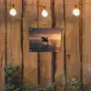 Orka - Zee - Zonsondergang tuinposter los doek klein -sfeer1