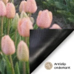 Tulpen - Landschap - Roze Deurmat klein -antislip_NL