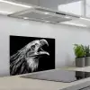 Adelaar - Portret - Roofvogels - Zwart - Wit - Vogel keuken achterwand spatscherm klein -3d_schuin