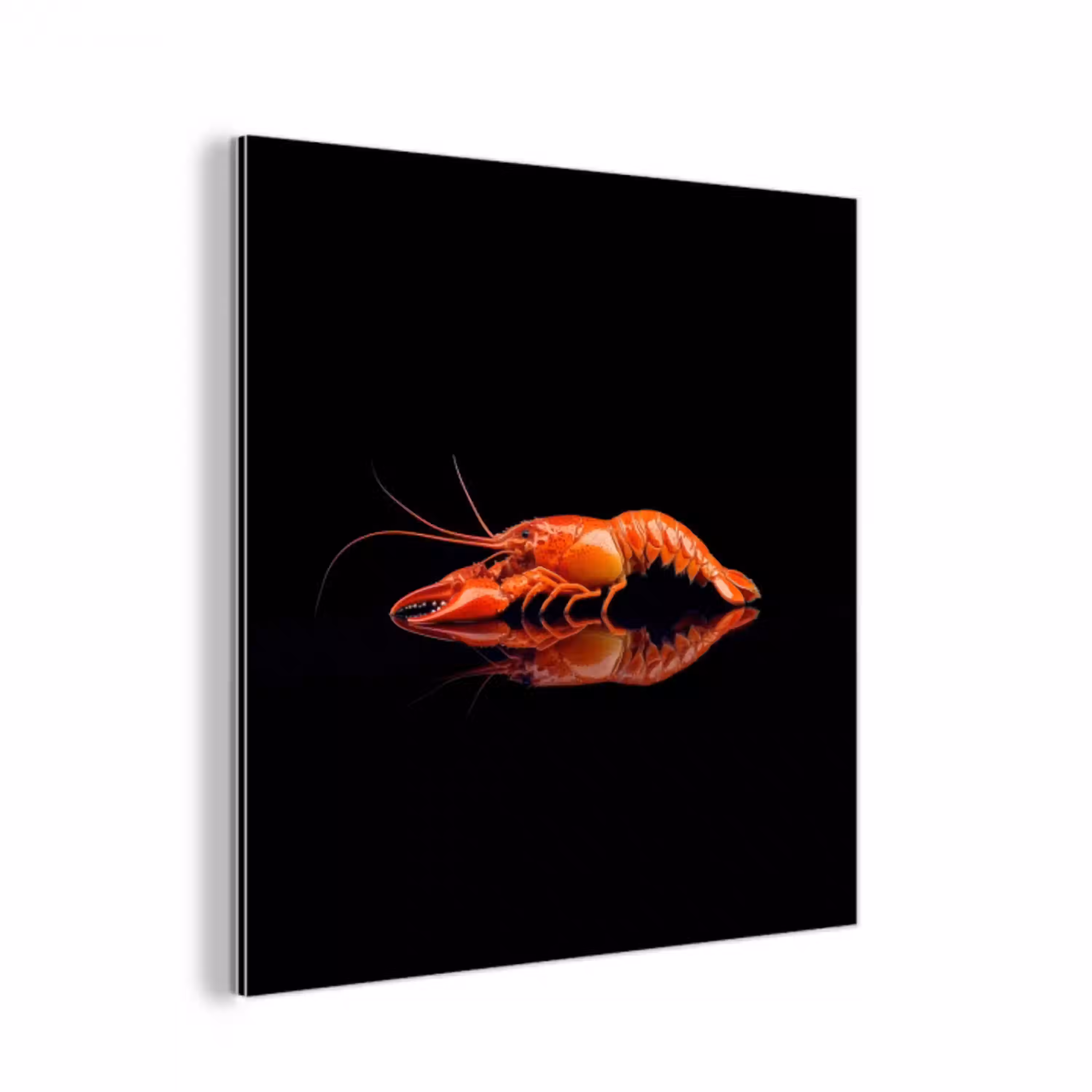 Kreeft - Oranje - Zwart - Opvallend aluminium wit klein -3d